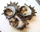 あつあつ☆洋風サザエのつぼ焼き作り方8写真