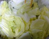 白菜と烏賊のぬた作り方17写真