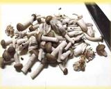 牡蠣の中華風炒め作り方3写真
