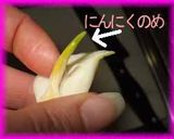塩辛のパスタ作り方1写真