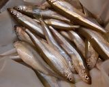 ワカサギとこんにゃくのにんにく風味衣揚げ作り方1写真