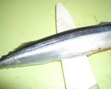 簡単☆台所が汚れない☆魚のさばき方作り方7写真