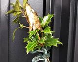 簡単:煎るだけ~節分豆作り方1写真