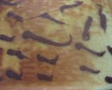 2010　寅ロールケーキ（恵方ロール）作り方3写真