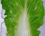 鶏肉の白菜ロール作り方3写真