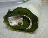 しっとり♪ふわふわ抹茶ロールケーキ作り方19写真