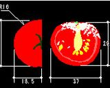 トマトは野菜か果物か？チーズのせるか？作り方1写真