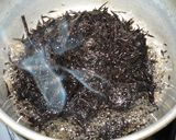 ひじきが沢山食べられる☆ひじきサラダ作り方1写真