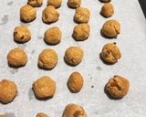 ドライアプリコットココナッツスノーボール作り方5写真