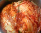 旨味たっぷり　本格自家製キムチ作り方17写真