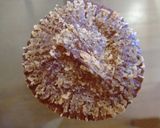 ミニチョコレートカップケーキ!!作り方5写真