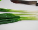 おネギいっぱ~い!うちのおから♪作り方10写真
