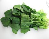らくらく☆ごまゴマほうれん草和え♬作り方1写真