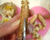 ♡♥ウマ～いカニの味噌汁♥♡さばき方付き作り方7写真