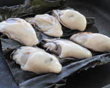 簡単！旨すぎっ！牡蠣の真昆布 鉄板焼き作り方3写真