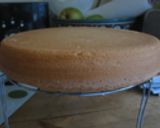誕生日　ドームケーキ作り方8写真