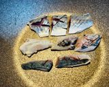 大葉と生姜で食べる、炙りしめアジ作り方9写真