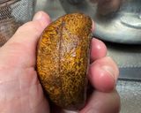横浜発♡秋の和栗の天ぷら作り方1写真