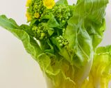 菜の花の豆腐クリームパスタ作り方2写真