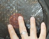 簡単生春巻き作り方2写真