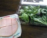 アイスプラントでシャクシャク✿おいしい！作り方1写真