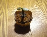 ﾊﾞﾚﾝﾀｲﾝ!!!愛の息吹ﾁｮｺｹｰｷ作り方4写真