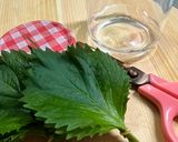 大葉の長持ち保存法作り方1写真