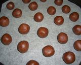 米粉で２色のスノーボール（ココア）作り方5写真