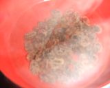 りんごのコンポートっ」＾－＾「作り方5写真