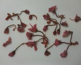 ✿〜春薫る桜の炊き込みご飯〜❀作り方2写真