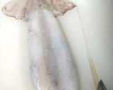 いかふりっと。作り方3写真