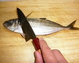 アジの三枚おろし作り方1写真