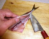 アジの三枚おろし作り方5写真