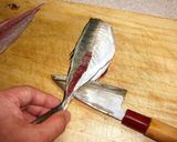 アジの三枚おろし作り方9写真