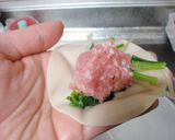 手抜きの水餃子？水シュウマイ？？作り方2写真
