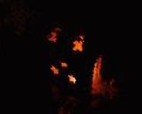 Millennium Munchkins' House (GBH)作り方48写真
