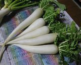 亀戸大根のかき揚げ作り方1写真