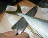 家庭用包丁でイナダの定番3品(おろし方付き)作り方5写真