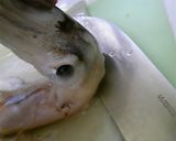 【お魚】スルメイカのさばき方作り方2写真