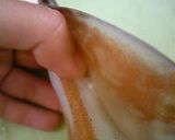 【お魚】スルメイカのさばき方作り方11写真