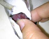 【お魚】塩分控えめ☆お手製でアジの干物☆作り方1写真