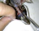 【お魚】塩分控えめ☆お手製でアジの干物☆作り方4写真