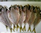 【お魚】塩分控えめ☆お手製でアジの干物☆作り方8写真