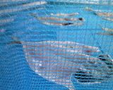 【お魚】塩分控えめ☆お手製でアジの干物☆作り方10写真