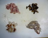 万能おだしで茶わん蒸し作り方1写真