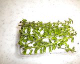 三陸わかめの茎と根菜の浸し豆作り方3写真
