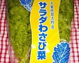 サラダわさび菜と豆腐のサラダ作り方1写真