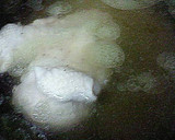 お手軽！茹で鶏の胡麻マヨソース作り方2写真