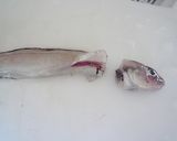 げんげ（幻魚）と豆腐の煮付け作り方2写真