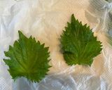 お弁当に朝食に⭐️大葉の醤油漬け♪大量消費作り方1写真